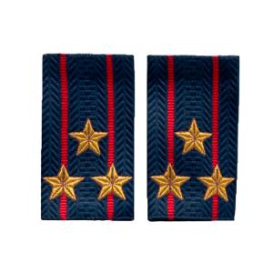 Фальшпогоны вышитые н/о полиция полковник 5*9 см
